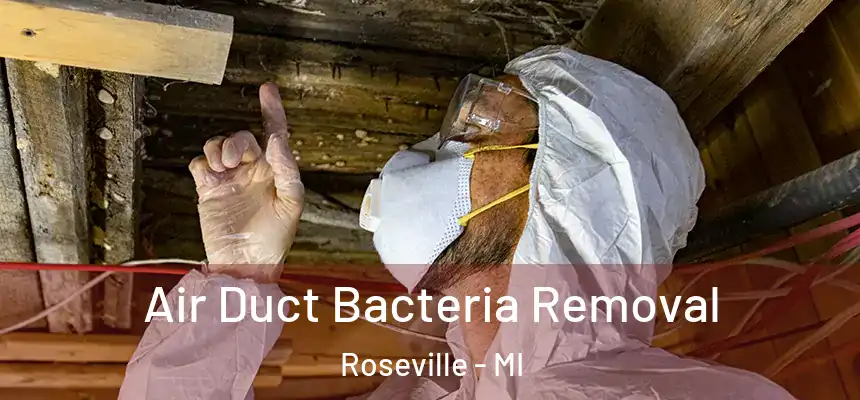  Air Duct Bacteria Removal Roseville - MI