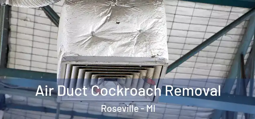 Air Duct Cockroach Removal Roseville - MI