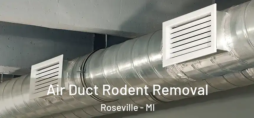  Air Duct Rodent Removal Roseville - MI