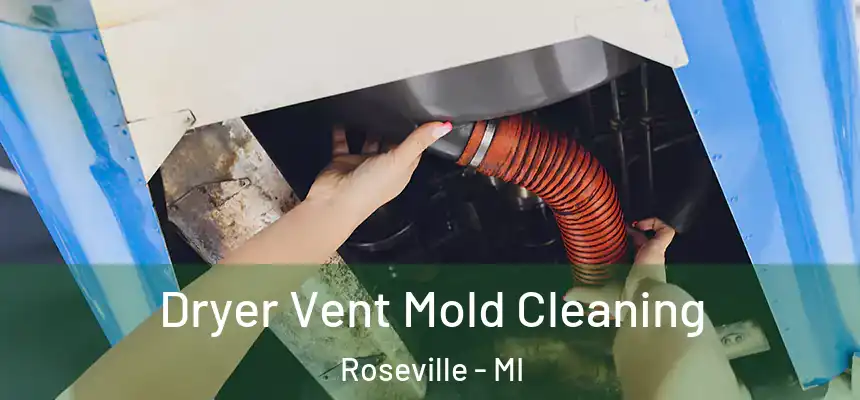  Dryer Vent Mold Cleaning Roseville - MI