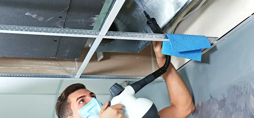 Our Air Duct Rodent Removal Services in Roseville, MI