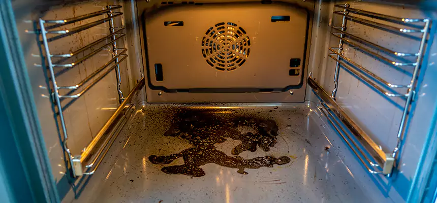 Our Dryer Vent Mold Cleaning Services in Roseville, MI