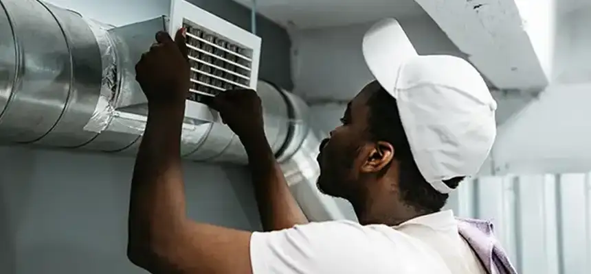 Our Licensed And Insured Cleaners in Roseville, MI