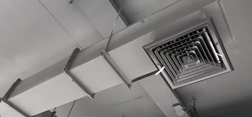 Our Rodent Droppings In Vents Services in Roseville, MI