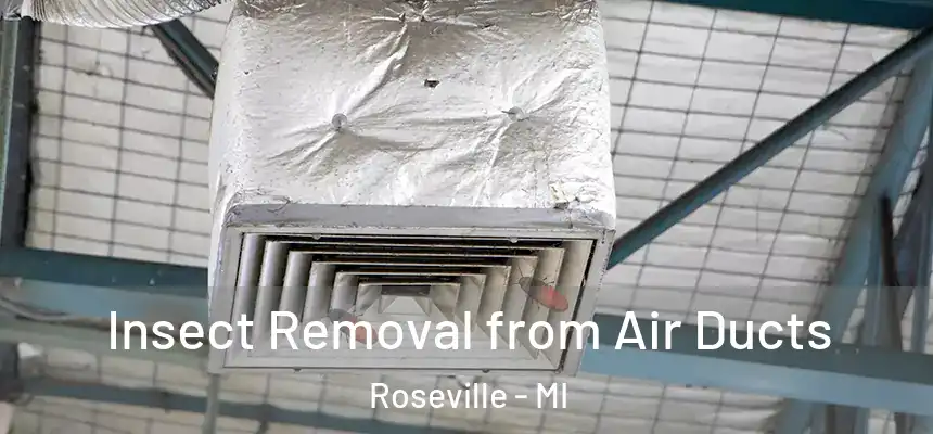  Insect Removal from Air Ducts Roseville - MI