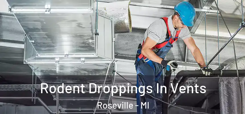 Rodent Droppings In Vents Roseville - MI