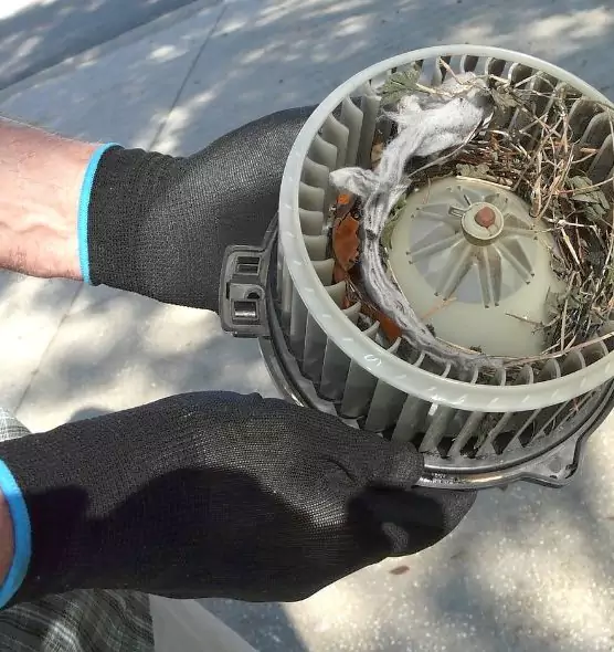 About Air Duct Mice Removal in Roseville, MI