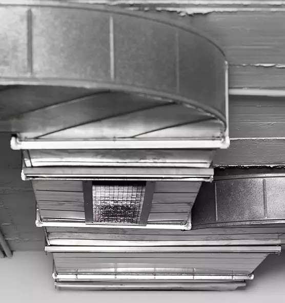 Professional Air Duct Pest Removal in Roseville, MI