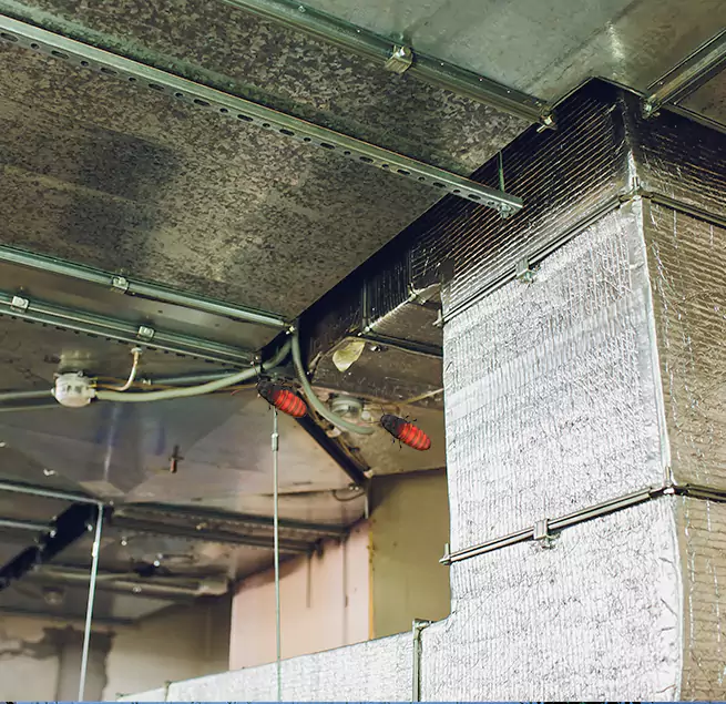 Why Homeowners & Businesses Trust Us in Roseville, MI?