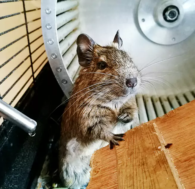 Why Homeowners & Businesses Trust Us Roseville, MI?