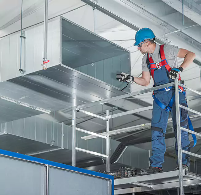 Why Homeowners & Businesses Trust Us in Roseville, MI?