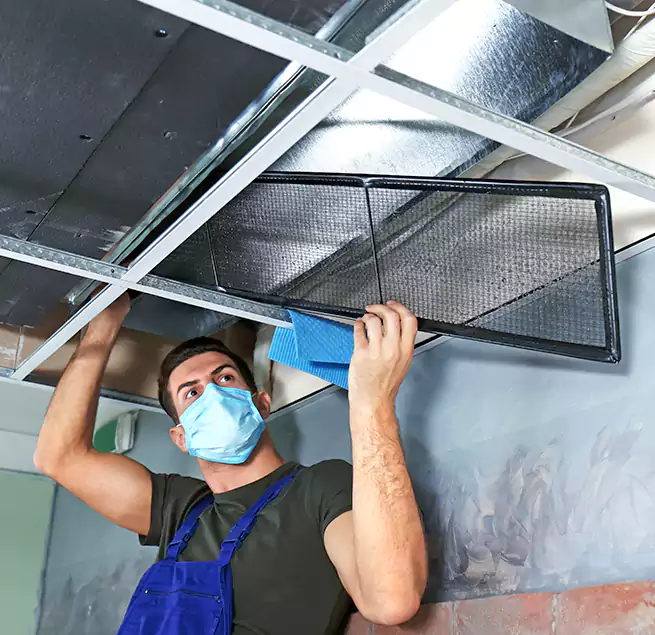 Why Homeowners Businesses Trust Us in Roseville, MI