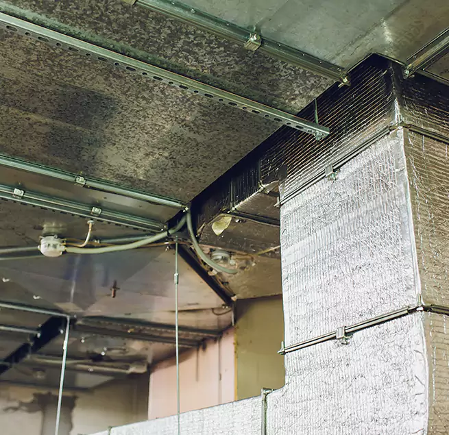 Why Homeowners & Businesses Trust Us in Roseville, MI?