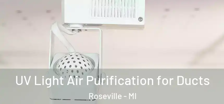  UV Light Air Purification for Ducts Roseville - MI